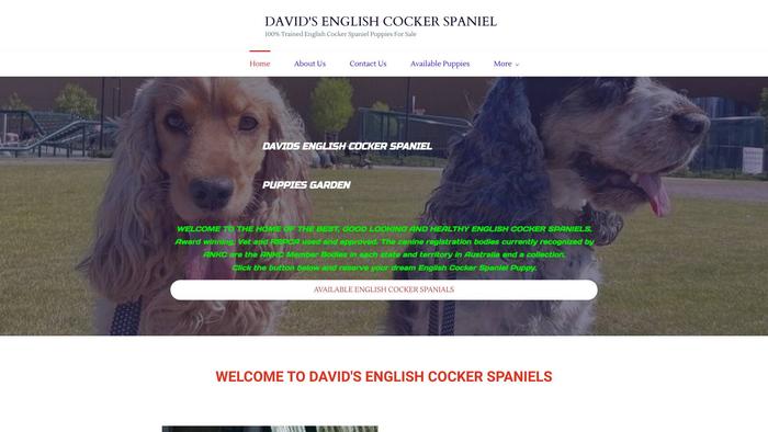 Davidenglishcockerspaniels.store - Cockerspaniel Puppy Scam Review