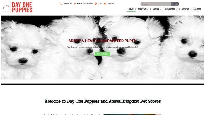 Dayonepuppies.com - French Bulldog Puppy Scam Review