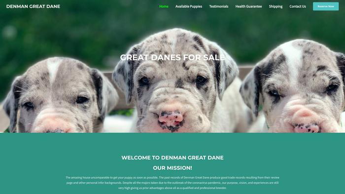 Denmangreatdane.com - Great Dane Puppy Scam Review