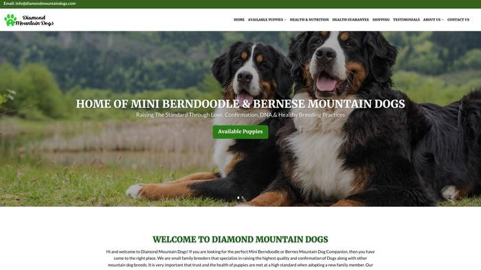 Diamondmountaindogs.com - Saint Bernard Puppy Scam Review