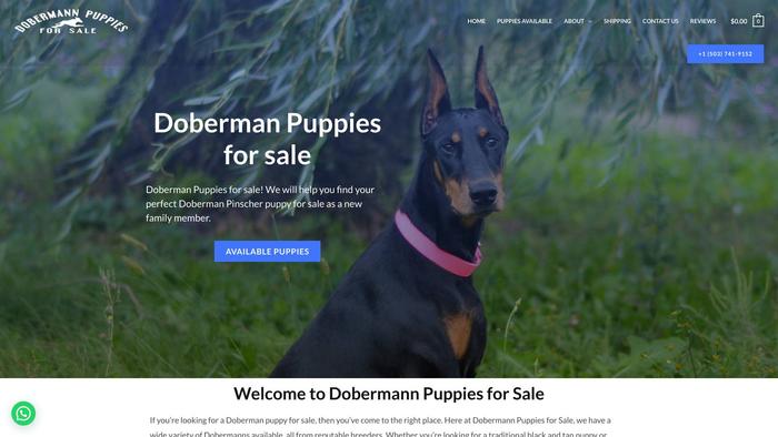 Dobermannpuppiesforsale.com - Doberman Pinscher Puppy Scam Review