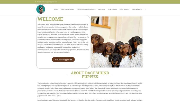 Doxiedachshundpuppies.com - Dachshund Puppy Scam Review