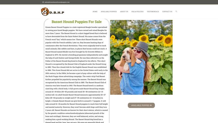 Dreambassethoundpuppies.com - Bassethound Puppy Scam Review