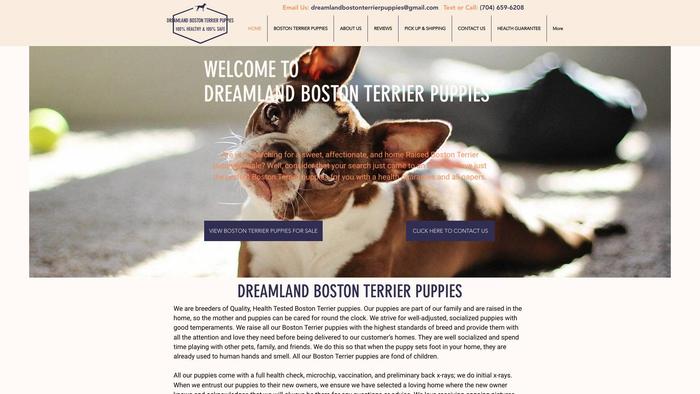 Dreamlandbostonterrierpuppies.com - Terrier Puppy Scam Review