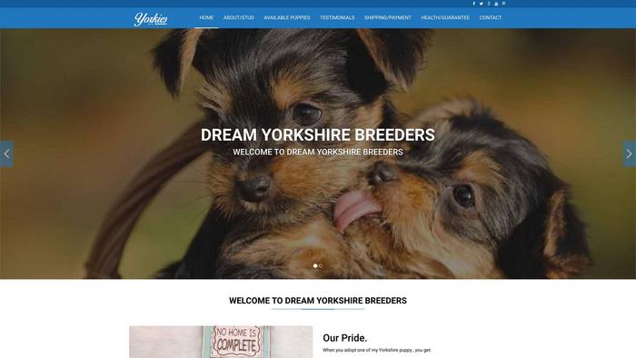 Dreamyorkshirepups.com - Yorkshire Terrier Puppy Scam Review