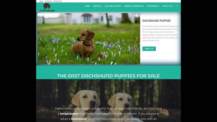 Eastdachshund.com - Dachshund Puppy Scam Review