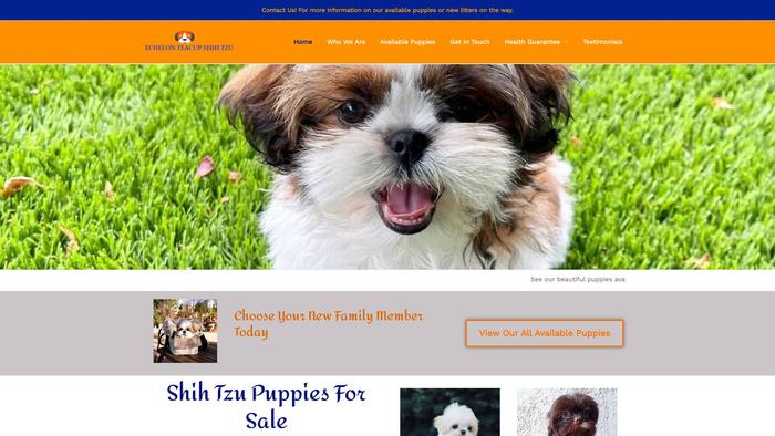 Echelonshihtzupuppies.com - Shihtzu Puppy Scam Review