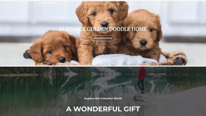 Elegancegoldendoodlehome.com - Golden Doodle Puppy Scam Review