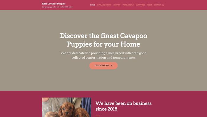 Elisecavapoopups.com - Cavapoo Puppy Scam Review