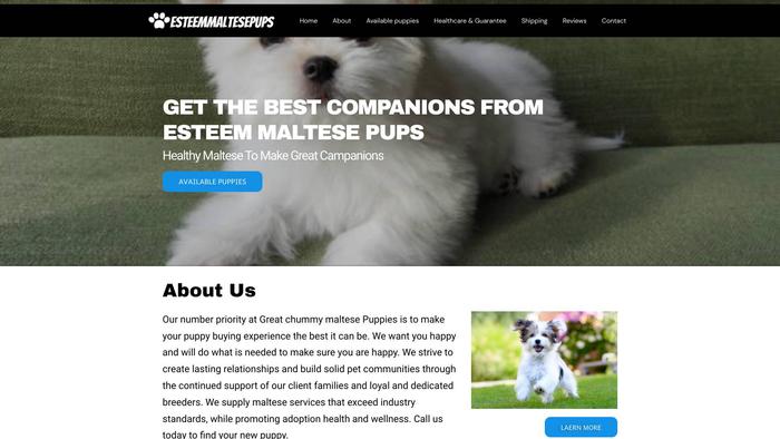 Esteemmaltesepups.com - Maltese Puppy Scam Review