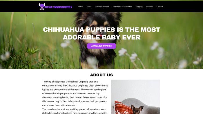 Faithfulchihuahuapups.com - Chihuahua Puppy Scam Review