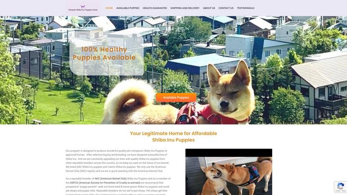 Fantasticshibainu.com - Shibhainu Puppy Scam Review