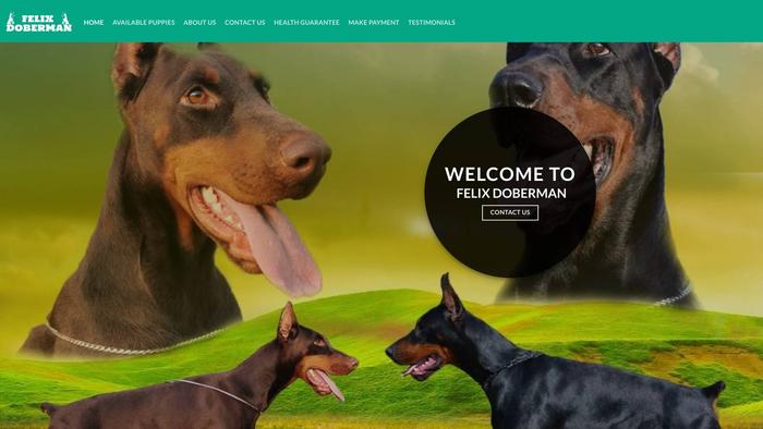 Felixdoberman.com - Doberman Pinscher Puppy Scam Review