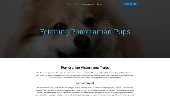 Fetchingpomeranianpups.com - Pomeranian Puppy Scam Review