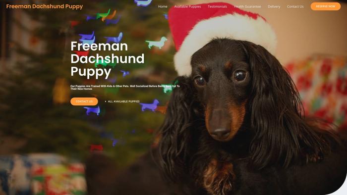 Freemandachshundpuppy.com - Dachshund Puppy Scam Review