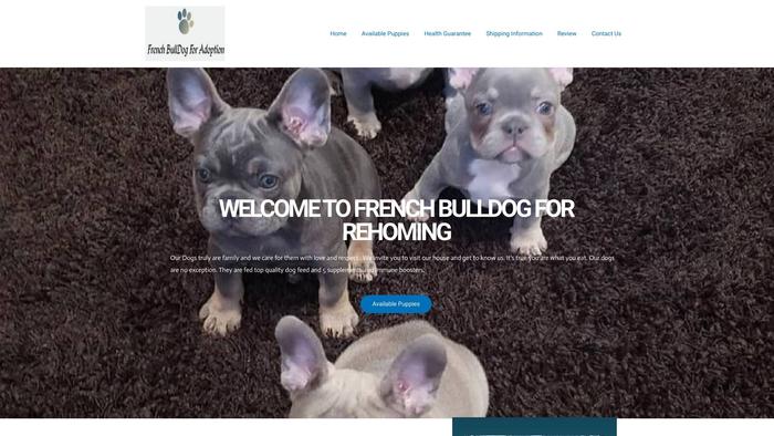 Frenchbulldogforadoption.shop - French Bulldog Puppy Scam Review