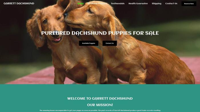 Garrettdachshund.com - Dachshund Puppy Scam Review