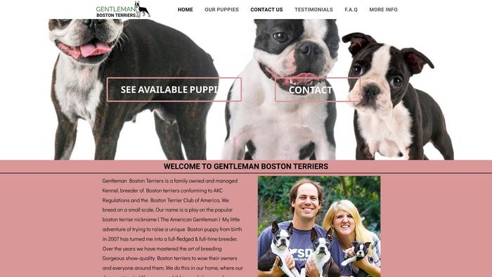 Gentlemanbostonterriers.com - Terrier Puppy Scam Review