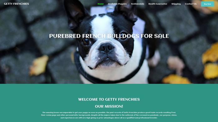 Gettyfrenchies.com - French Bulldog Puppy Scam Review