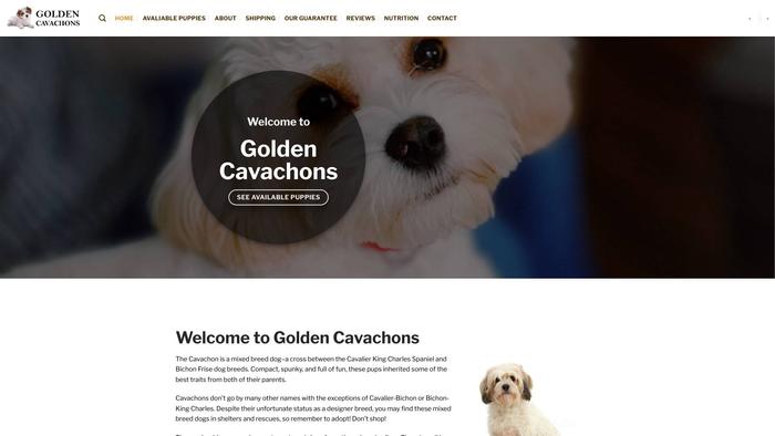 Goldencavachons.com - Cavachon Puppy Scam Review