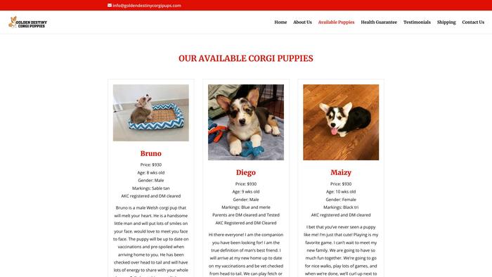 Goldendestinycorgipups.com - Corgi Puppy Scam Review