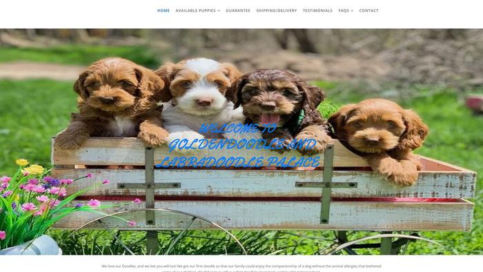 Goldendoodleandlabradoodlepalace.com - Labradoodle Puppy Scam Review