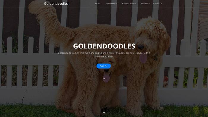 Goldendoodledogs.site - Golden Doodle Puppy Scam Review