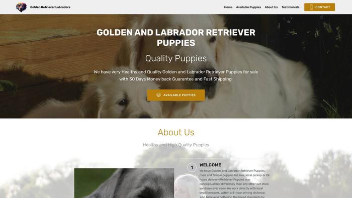 Goldenretrievernlabradors.su - Golden Retriever Puppy Scam Review