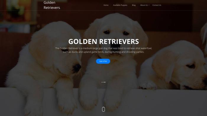 Goldenretrievers.site - Golden Retriever Puppy Scam Review