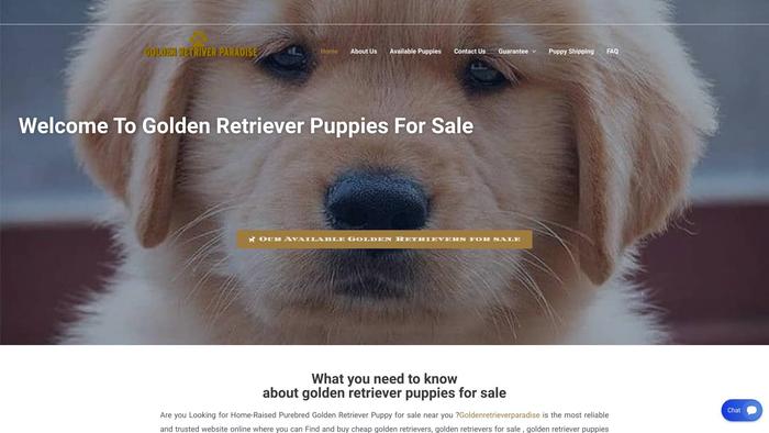 Goldenretrieversforsalenearme.com - Golden Retriever Puppy Scam Review