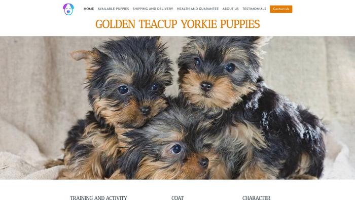 Goldenteacupyorkie.com - Yorkshire Terrier Puppy Scam Review