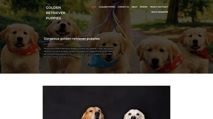 Gorgeousgoldenretrieverpuppies.com - Golden Retriever Puppy Scam Review