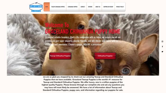 Gracelandchihuahuapethome.com - Chihuahua Puppy Scam Review