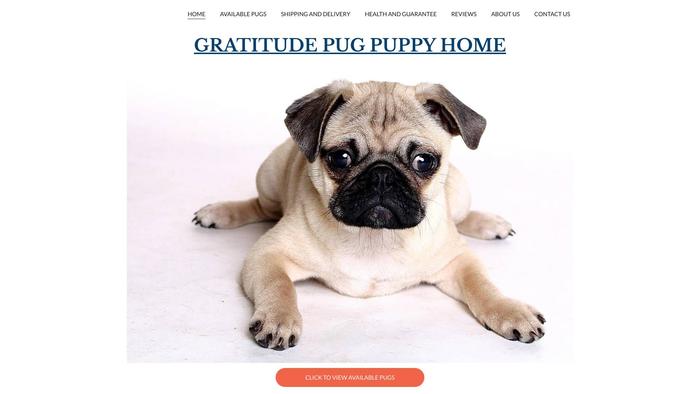 Gratitudepugs.com - Pug Puppy Scam Review