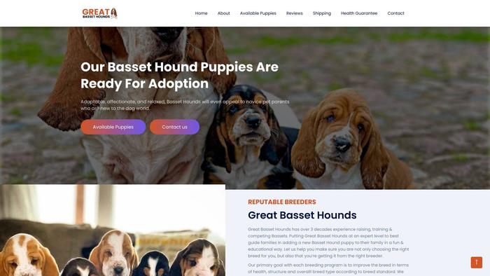 Greatbassethounds.com - Bassethound Puppy Scam Review