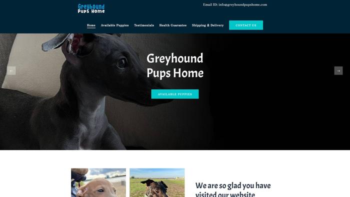 Greyhoundpupshome.com - Labrador Puppy Scam Review