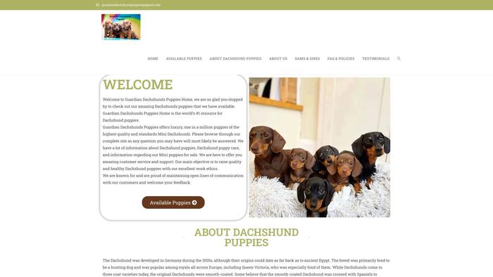 Guardiandachshundpuppies.com - Dachshund Puppy Scam Review