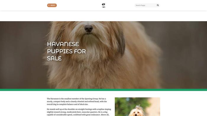 Havanesepupshome.com - Havanese Puppy Scam Review