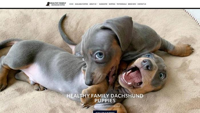 Healthyfamilydachshundpuppies.com - Dachshund Puppy Scam Review