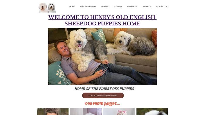 Henrysoespuppies.com - Labrador Puppy Scam Review