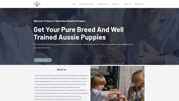 Homeofaussiepuppies.shop - Australian Shepherd Puppy Scam Review