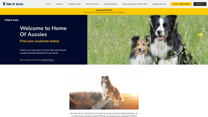 Homeofaussies.store - Australian Shepherd Puppy Scam Review