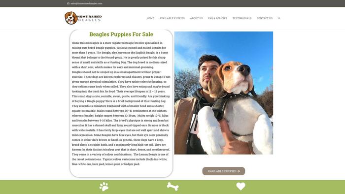 Homeraisedbeagles.com - Beagle Puppy Scam Review