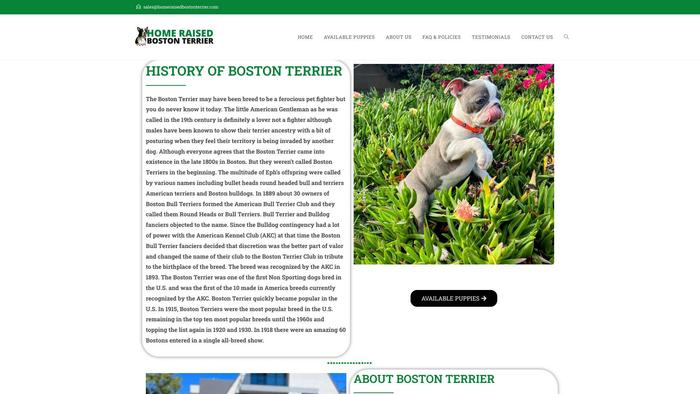 Homeraisedbostonterrier.com - Terrier Puppy Scam Review