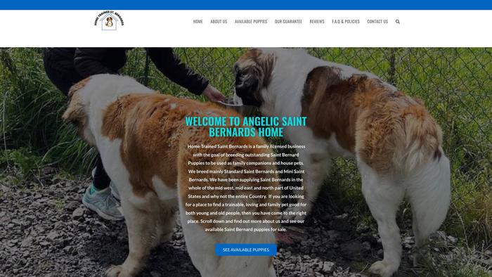 Hometrainedstbernards.com - Saint Bernard Puppy Scam Review