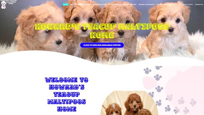 Howardsteacupmaltipoos.us - Maltipoo Puppy Scam Review