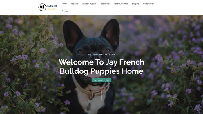 Jayfrenchbulldogs.com - French Bulldog Puppy Scam Review