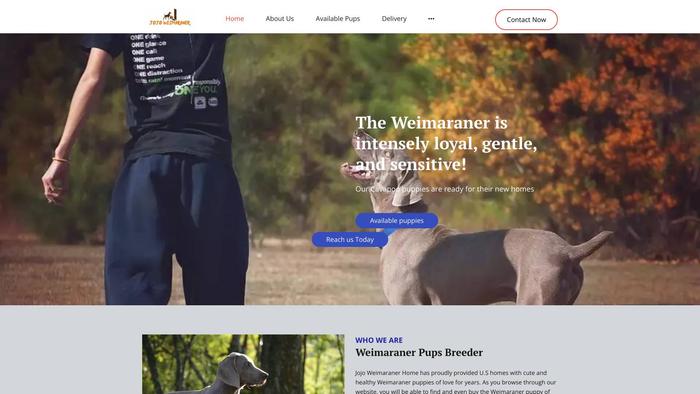 Jojoweimaranerhome.store - Weimaraner Puppy Scam Review