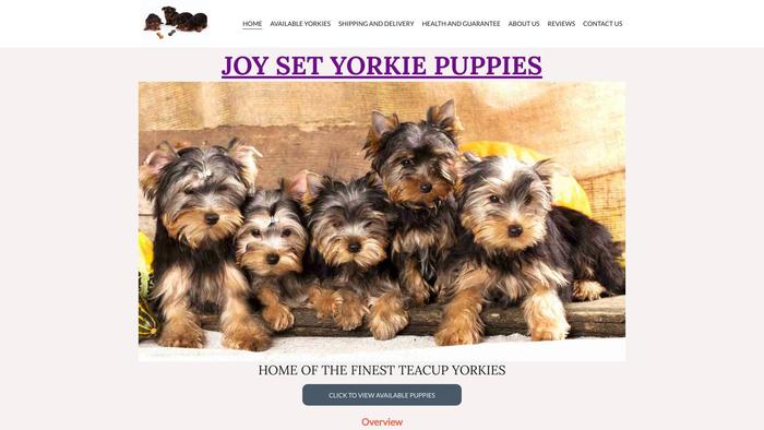 Joysetyorkies.com - Yorkshire Terrier Puppy Scam Review