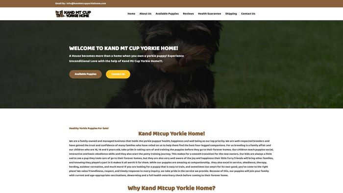 Kandmtcupyorkiehome.com - Yorkshire Terrier Puppy Scam Review